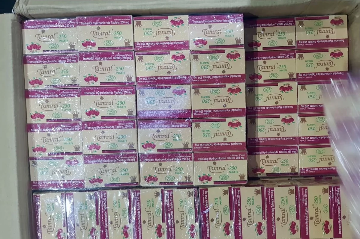 मुंबई: दवाओं की आड़ में नाइजीरिया जा रही थी 2 लाख नशीली गोलियां, DRI ने किया बड़े रैकेट का पर्दाफाश