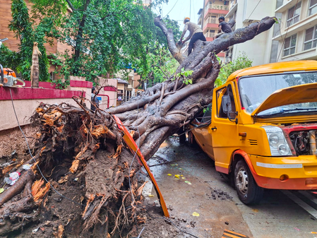 मुंबई में मॉनसून का कहर: 24 घंटे की भारी बारिश से 4 लोगों की मौत, 100 से ज़्यादा पेड़ गिरे