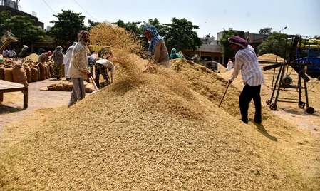 गुजरात: धान खरीद में पारदर्शिता लाने के लिए AI की मदद, 4 जिलों में पायलट प्रोजेक्ट शुरू
