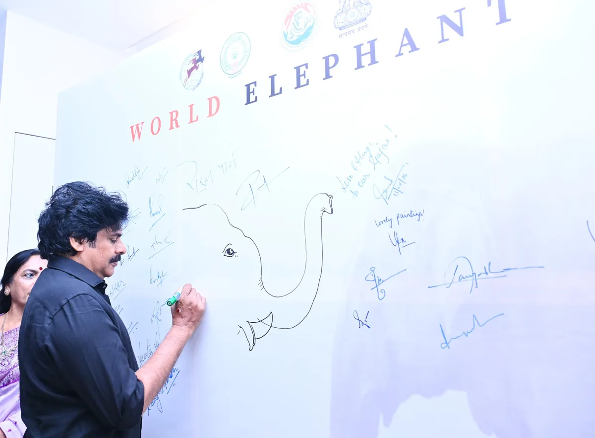 आंध्र प्रदेश: 'कुम्की' हाथियों की मदद से जंगली हाथियों से होने वाली मौतों में 70% की कमी- पवन कल्याण