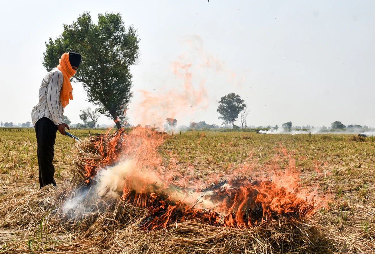 पंजाब: पराली जलाने पर प्रशासन सख्त, अब तक 400 से ज्यादा मामले दर्ज, 3.40 लाख का जुर्माना वसूला