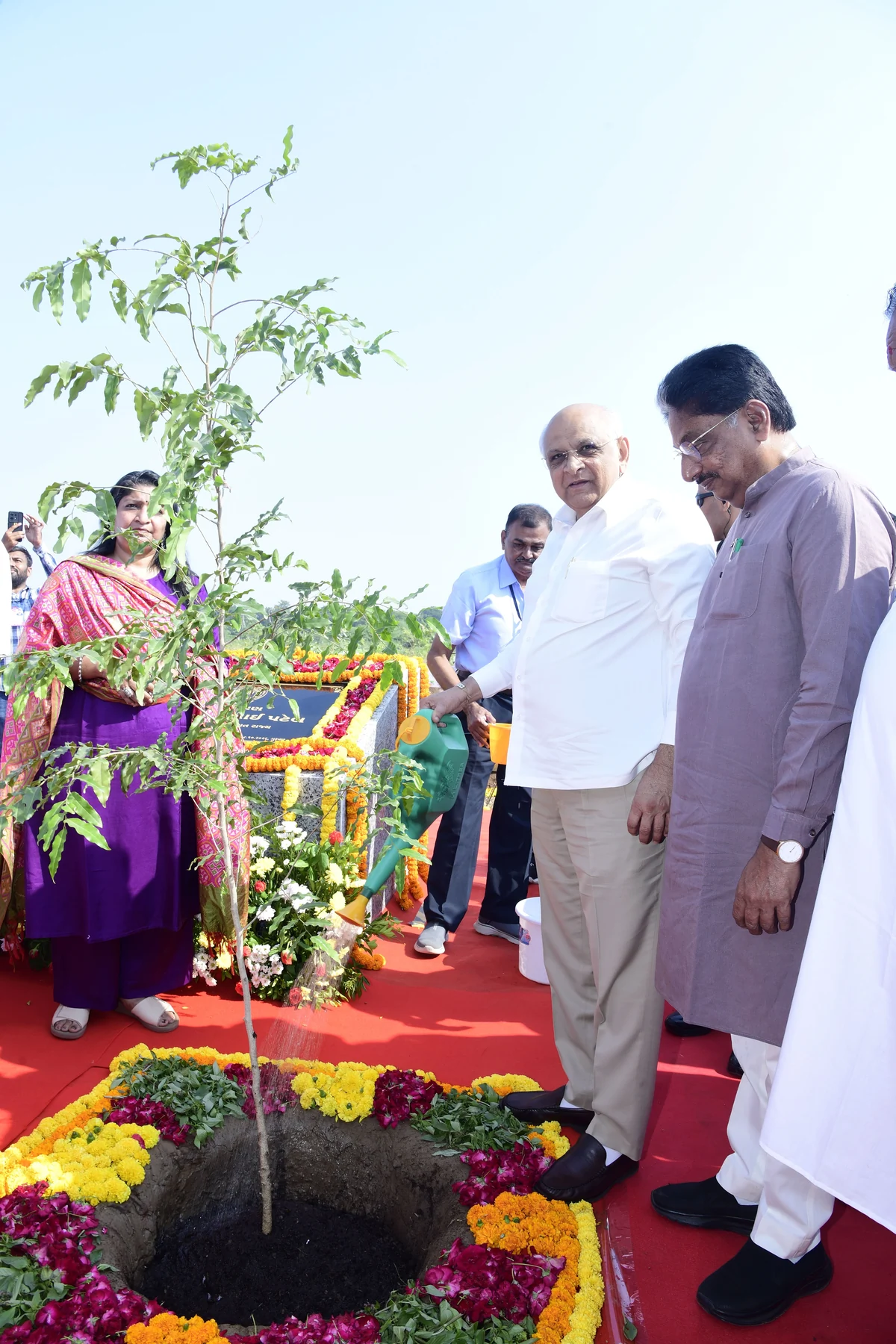 अहमदाबाद नगर निगम का 'मिशन 50 लाख पेड़' पूरा, गिनीज रिकॉर्ड वाले स्थल पर सीएम ने भी लगाए पौधे