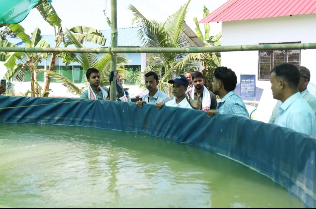 असम का एक्वा टेक पार्क: आधुनिक तकनीक से कैसे बदल रही है मछली पालन की दुनिया