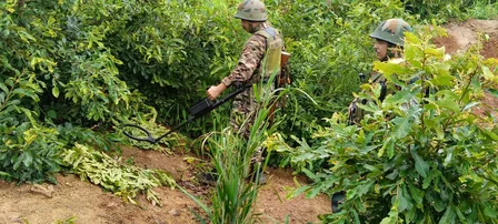 नगालैंड: IED ब्लास्ट के बाद सघन तलाशी अभियान जारी, शहीद हवलदार का पार्थिव शरीर घर भेजा जाएगा