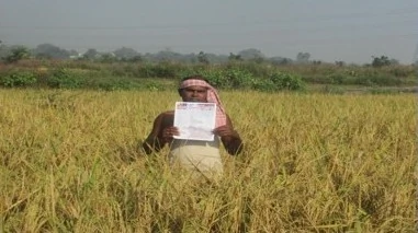 किसानों को मिले करीब 26 करोड़ सॉइल हेल्थ कार्ड, देश में 8.80 लाख हेक्टेयर में हो रही है प्राकृतिक खेती