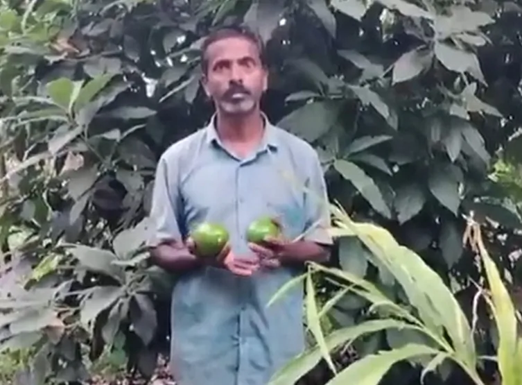 कर्नाटक: पीएम मोदी के 'मन की बात' में जिक्र के बाद चिकमगलूर में एवोकाडो की खेती को मिला बढ़ावा