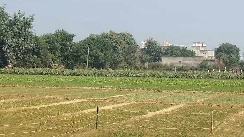 गाजियाबाद: खेत में टूटे हाईटेंशन तार की चपेट में आईं 3 महिलाएं, करंट लगने से 2 की मौत