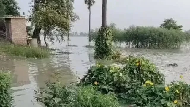 बिहार में नदियों का जलस्तर बढ़ा, कम बारिश के बावजूद कई जिलों पर बाढ़ का साया