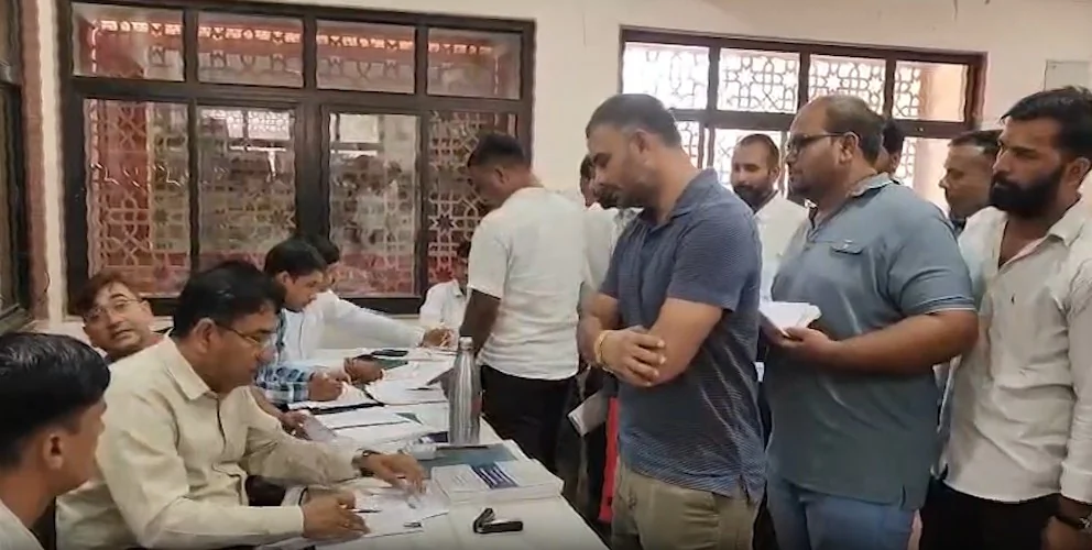 राजस्थान निकाय चुनाव: भाजपा और कांग्रेस ने युवा जोश पर लगाया दांव, मैदान में उतारे 70 'जेन-जेड' उम्मीदवार