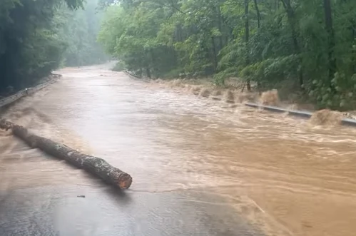 ग्रैंड कैन्यन में अचानक आई बाढ़: दो लोगों की मौत, 14 अब भी लापता, बचाव अभियान जारी