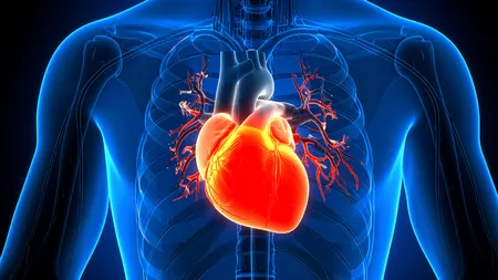 हार्ट फेलियर: क्या एक ही दवा हर तरह के मरीज के लिए कारगर है? नई स्टडी ने उठाए सवाल