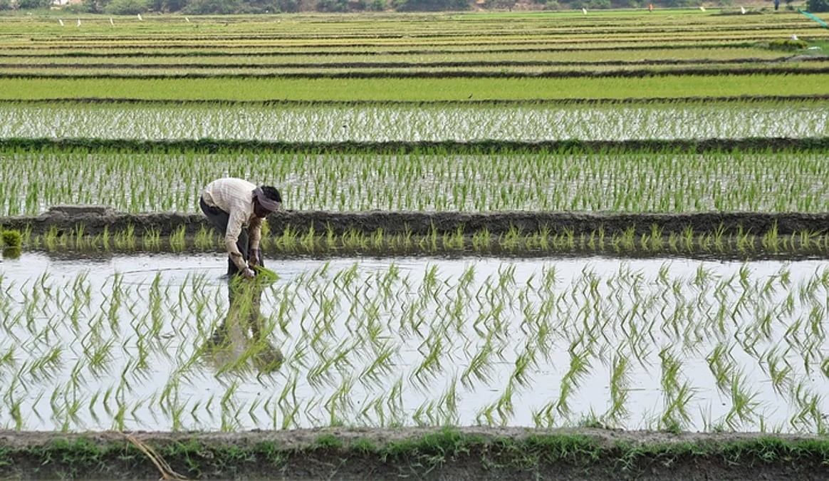 तमिलनाडु: किसानों के लिए बड़ी राहत, फसल लोन की वसूली पर रोक, नया कर्ज देने के निर्देश जारी