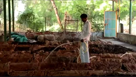उत्तर प्रदेश में 'गो-आधारित ग्रीन इकोनॉमी' को बढ़ावा, हर जिले में लगेंगे 1000 से ज्यादा बायोगैस प्लांट