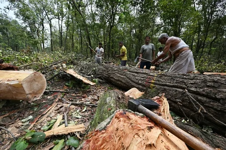 देहरादून-ऋषिकेश हाईवे: जनविरोध के बाद 'सात मोड़' पर पेड़ों की कटाई पर CM धामी ने लगाई रोक