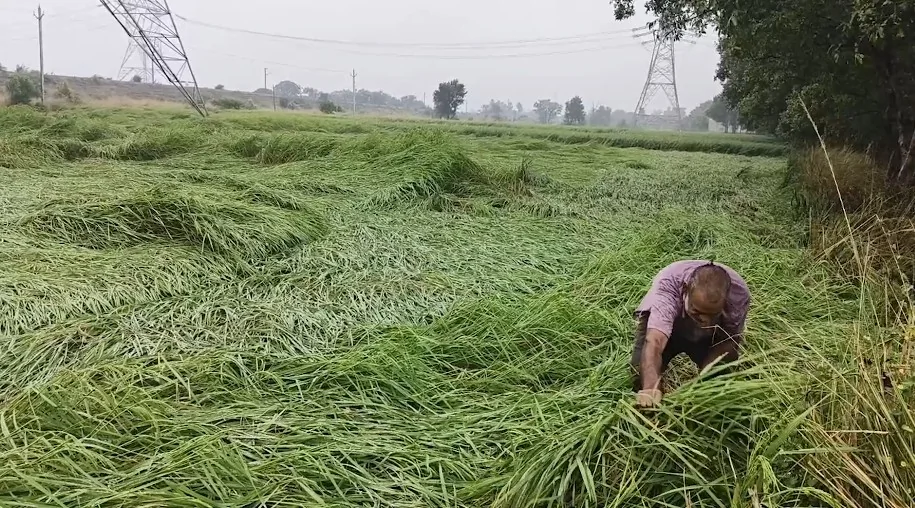 बिहार में मौसम का मिजाज बदला: सीतामढ़ी और मधुबनी में रेड अलर्ट, कई जिलों के लिए चेतावनी जारी
