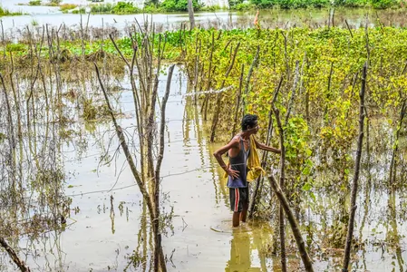 ओडिशा बाढ़: 8.6 लाख से ज़्यादा लोग प्रभावित, सरकार ने राहत और मुआवज़े का काम तेज़ किया