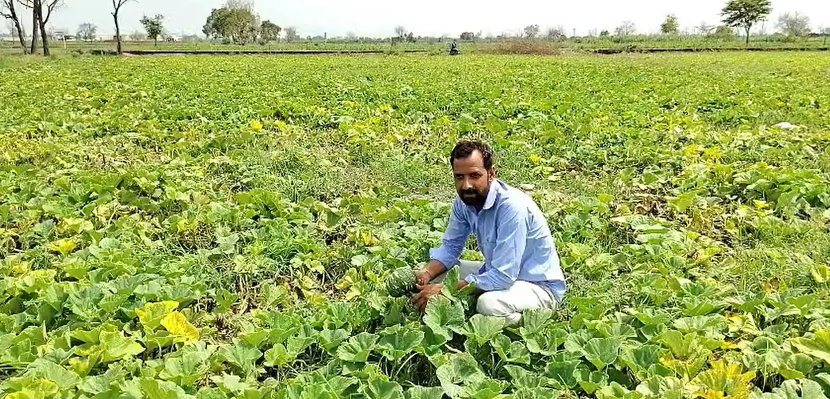 पीएम किसान सम्मान निधि अब 2031 तक जारी रहेगी, किसानों को मिलेगी आर्थिक सुरक्षा