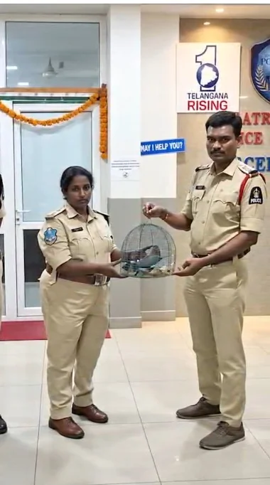 हैदराबाद: दशहरा पर अंधविश्वास के नाम पर कैद किए गए चार 'इंडियन रोलर' पक्षी बचाए गए