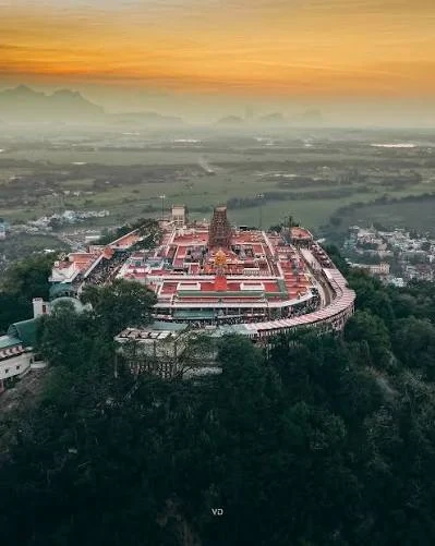 पलानी मंदिर भूमि घोटाला: 100 करोड़ की ज़मीन के फर्जी हस्तांतरण मामले में चार गिरफ्तार