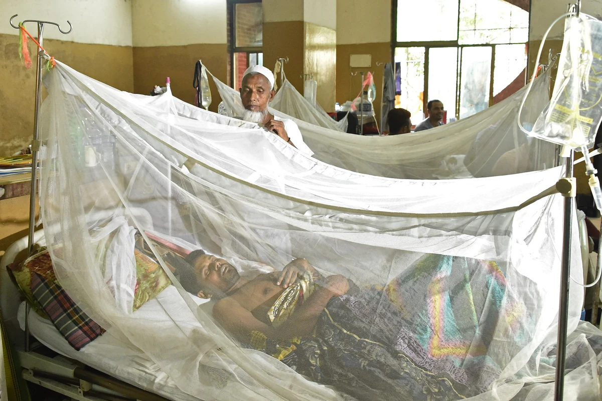बांग्लादेश में डेंगू का प्रकोप: 24 घंटे में 3 मौतें, इस साल अब तक 70 लोगों ने जान गंवाई