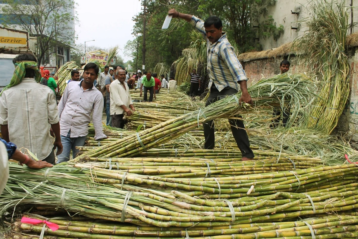 एथेनॉल पर नई नीति: महाराष्ट्र के चीनी उद्योग पर क्यों मंडराया 40,000 करोड़ के निवेश का संकट?