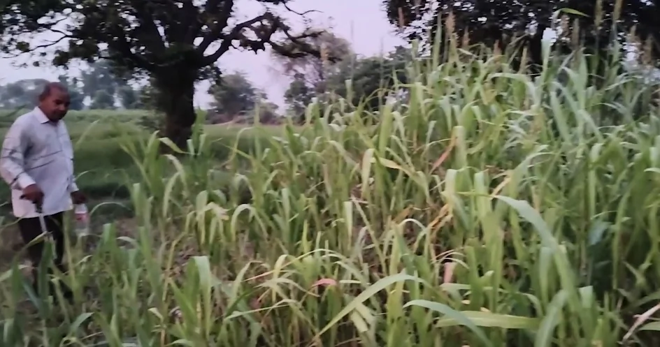 हरियाणा: मिट्टी की सेहत बताकर किसानों की आमदनी बढ़ा रही है मृदा स्वास्थ्य कार्ड योजना