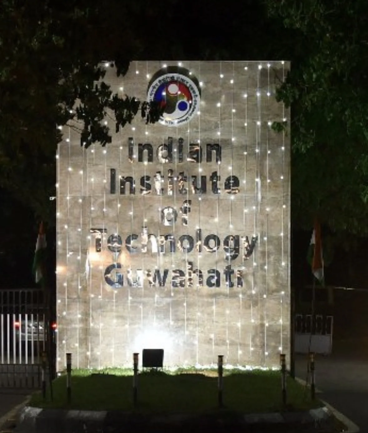 IIT गुवाहाटी की नई खोज: अब 'अरबी' के पौधे साफ करेंगे पशुपालन फार्म का ज़हरीला पानी