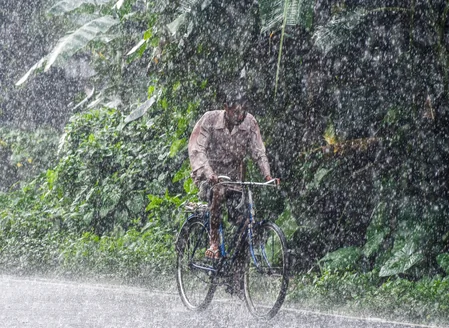 मध्य प्रदेश के कई जिलों में भारी बारिश का अलर्ट, मौसम विभाग ने आंधी-तूफान और बिजली गिरने की चेतावनी दी