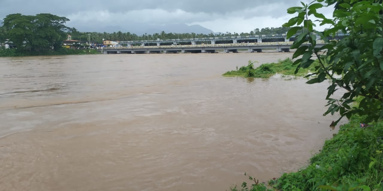 केरल बाढ़: पथानमथिट्टा में फंसे मवेशियों और पालतू जानवरों के लिए बड़े पैमाने पर बचाव अभियान