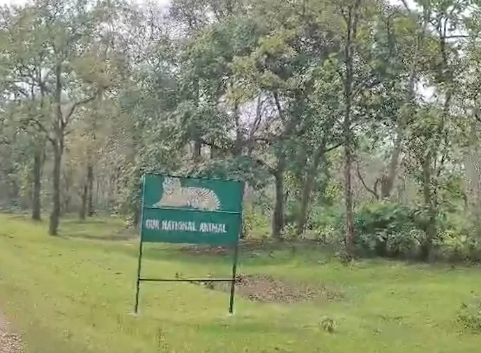 सागर का दुर्गावती टाइगर रिजर्व बनेगा चीतों का नया घर, मुख्यमंत्री मोहन यादव बुधवार को छोड़ेंगे