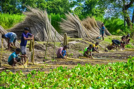 कृषि विकास की नई राह: 'धन-धान्य योजना' से 100 जिलों में दिखा उल्लेखनीय सुधार