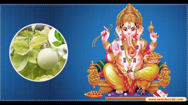 गणेश जी पर चढ़ाएं ये पत्ते