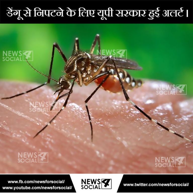 डेंगू से निपटने के लिए यूपी सरकार हुई अलर्ट