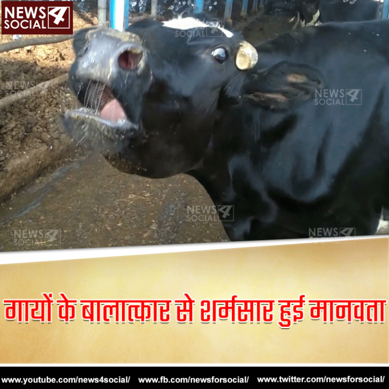 लड़कियां तो छोडिये हुज़ूर, हमारे देश में अब गायों की अस्मत भी लुटती है