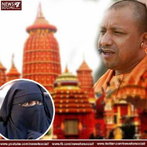 Yogi