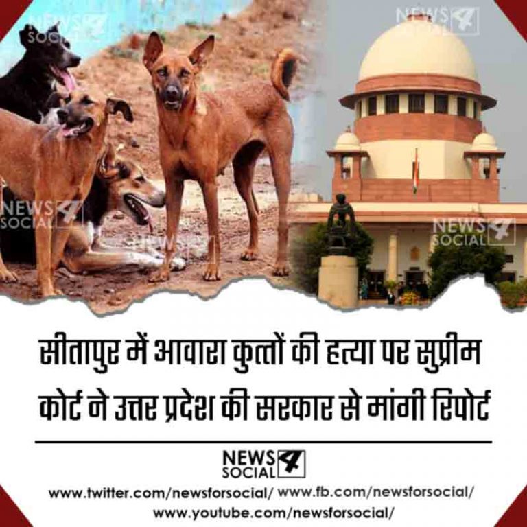 सीतापुर में आवारा कुत्‍तों की हत्या पर सुप्रीम कोर्ट ने उत्तर प्रदेश की सरकार से मांगी रिपोर्ट