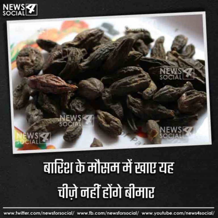 बारिश के मौसम में करे हरड़ का सेवन, होंगे कई फायदे 