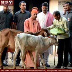 up cm yogi adityanath on mob lynching 1