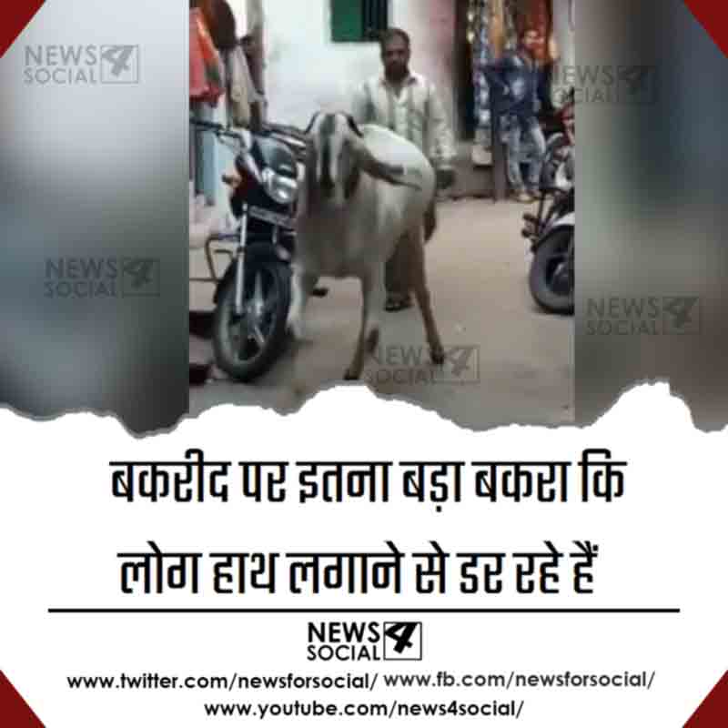 bahubali-bakra_news4social