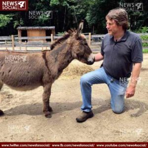 donkey assisted therapy programs claims great stress sponges 1 news4social -