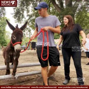 donkey assisted therapy programs claims great stress sponges 2 news4social -
