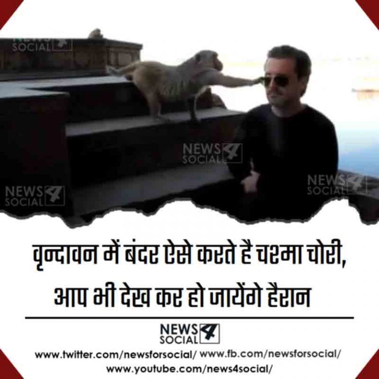 वृन्दावन में बंदर ऐसे करते है चश्मा चोरी, आप भी देख कर हो जायेंगे हैरान  