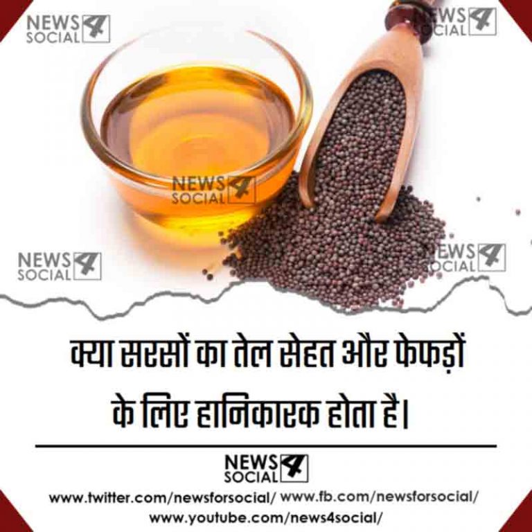क्या सरसों का तेल सेहत और फेफड़ों के लिए हानिकारक होता है।
