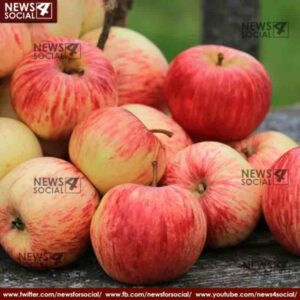 peeled or unpeeled which apple is healthy 2 news4social -