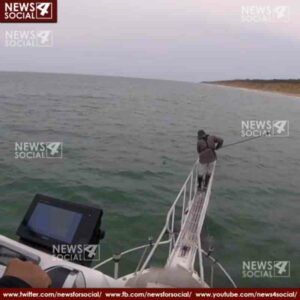white shark jumps out of water to attack man 1