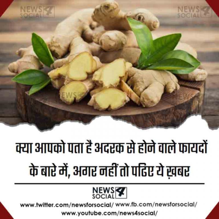 क्या आपको पता है अदरक से होने वाले फायदों के बारे में, अगर नहीं तो पढिए ये ख़बर
