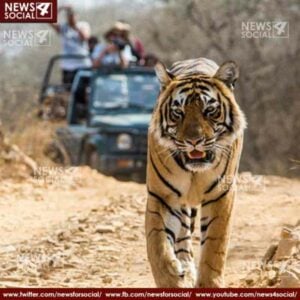nainital intresting facts of corbett national park 1