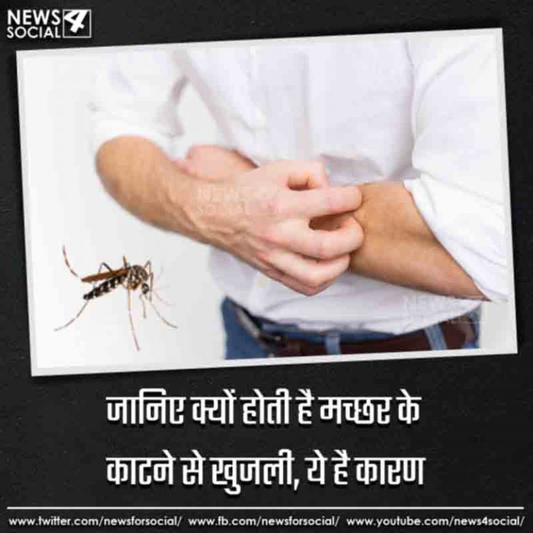 जानिए क्यों होती है मच्छर के काटने से खुजली, ये है कारण