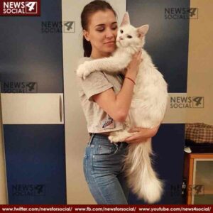 If you want a cat as a pet you should know these facts 3 news4social -
