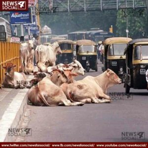 THESE ARE THE PICS WHICH SHOWS HIS CAN ONY HAPPEN IN INDIA 7